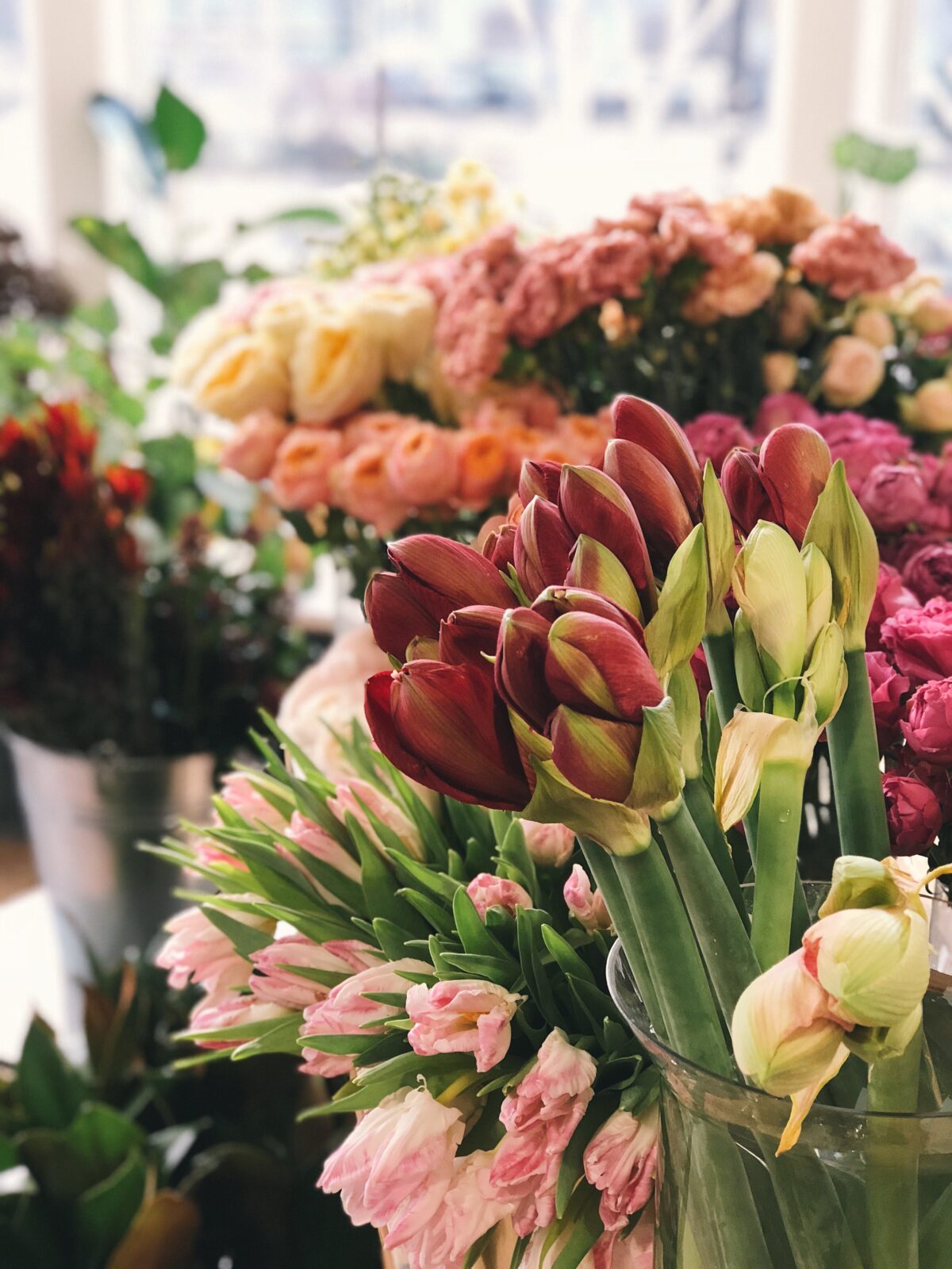 Blomsterkväll med Sara 9 april